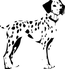 Dalmatian Dog SVG Drawing Portrait Looking
