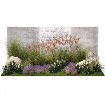 Garden with lavender bushes Spathiphyllum Miscanthus  isolated on white background 
