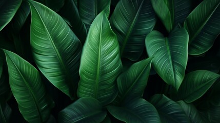 Textures of abstract green leaves for tropical leaf background - Generative AI
