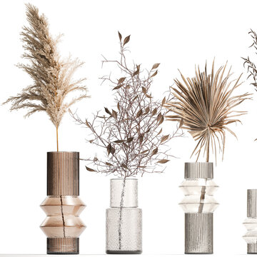  Collection of minimalist bouquets of dried flowers pampas vase  isolated on white background 