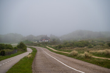 Fototapeta na wymiar Niederländische Landstraße im Nebel