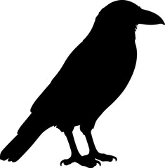 Crow clipart design illustration