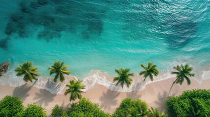 Aerial view of palms on the sandy beach of Indian Ocean at sunset. Summer in Zanzibar, Africa.  - obrazy, fototapety, plakaty