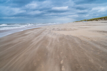 Fototapeta na wymiar Sturm am Strand von Texel