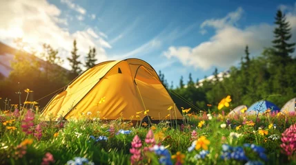 Selbstklebende Fototapeten Camp tent on green grass forest with beautiful  flower on view nature © MAXXIMA Graphica