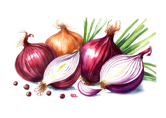 red onion on white background, watercolor art design