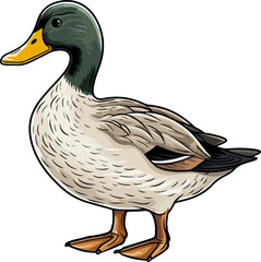 Duck clipart design illustration