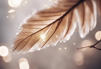 Airy soft Abstract gentle natural background with bird feathers macro with soft focus on light backg