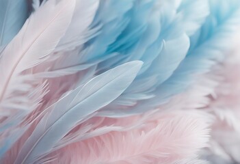 Airy soft fluffy feather close-up of macro of blue and pink pastel shades on white background with s