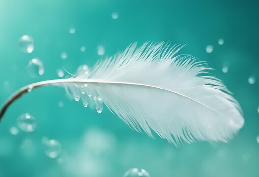 Background with bird feather White light airy soft feather with transparent drops of water on turquo