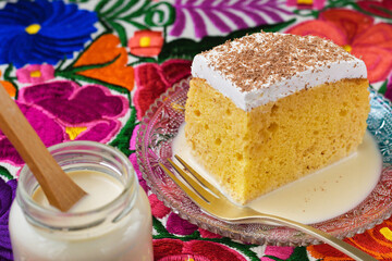 メキシコのスイーツ パステル・デ・トレス・レチェス(3種のミルクのケーキ）とトレス・レチェス　コピースペースあり
Mexican sweets Pastel de Tres Leches(  Mexican Tres Leches Cake,Tres Leches Cake,Three Milk Cake) and Tres Leches with copy space