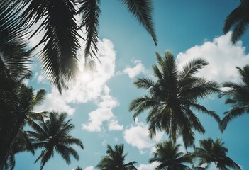 Beautiful tropical palm trees against blue sky with white clouds Natural background with copy space