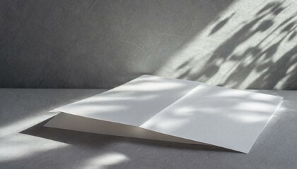 black and white background, the delicate interplay of light and shadows on two vertical sheets of textured white paper, elegantly laid on a soft gray table background
