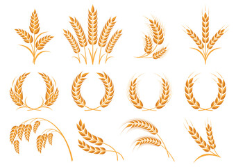 Wheat icons set. Grain, ear of wheat  and wreath. Organic wheat, bread agriculture and natural eat, rice isolated on white background. Isolated silhouette. Vector illustration
