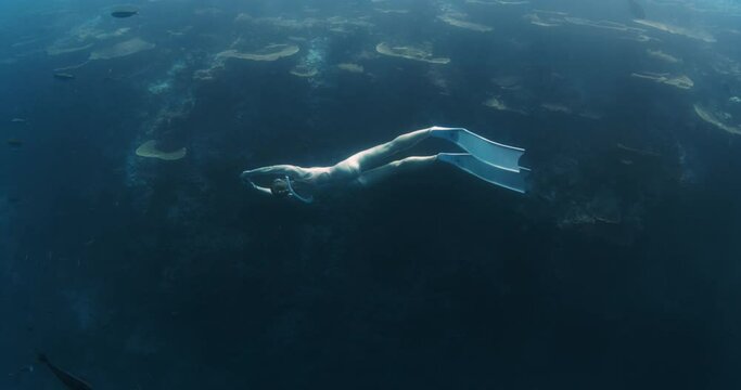 Woman freediver glides on deep in tropical sea. Girl swims underwater against the backdrop of a coral reef