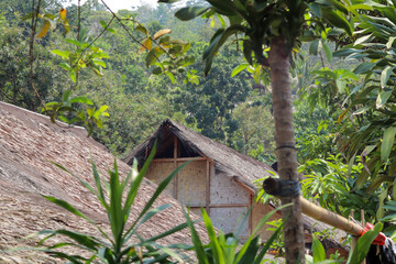 the concept of an environmentally friendly Baduy house roof, made from sago leaves and palm fiber