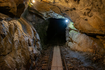 Tunnel on the Railroad Section of the Jomon-sugi Cedar Trail, Yakushima Island, Japan
