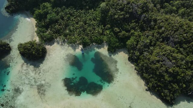 aerial shoot, flight over colourful lagoon with Turquoise water, sand beach and palm trees in Raja Ampat Indonesia