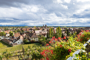 Fototapeta na wymiar Scenic view from Chateau d'Isenbourg and Spa at picturesque village Rouffach Haut-Rhin department in Grand Est in north-eastern France