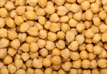 Cooked soaked chickpea beans close up background