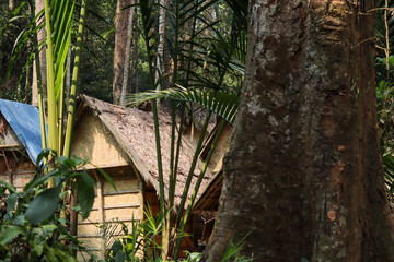 traditional Baduy rice storage construction called leuit. made of wood, bamboo booths and roofed with sago leaves and palm fiber
