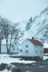 white small houses in the snow at lofoten islands