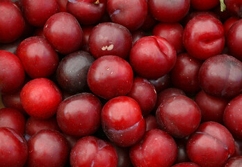 Fresh red purple plums on market stall