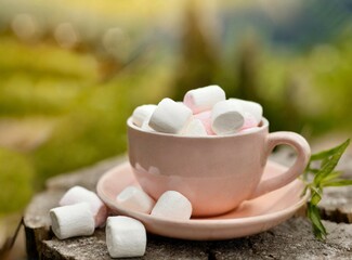 Pink cup of hot chocolate with marshmallows closeup photography isolated outdoor