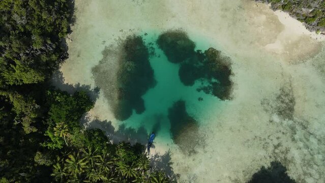 aerial shoot, flight over colourful lagoon with Turquoise water, sand beach and palm trees in Raja Ampat Indonesia