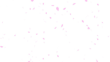 桜吹雪1_CGイラスト_透過素材 - obrazy, fototapety, plakaty