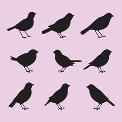 Finch bird set black silhouette Clip art