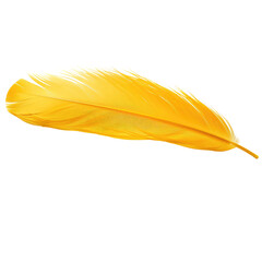 yellow feather isolated on transparent background © NT clip art only