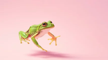 Wandcirkels plexiglas Green frog on the pastel background. 29 february leap year day concept © netrun78