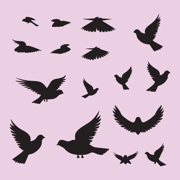 Dove bird set black silhouette vector