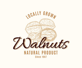 Vector walnut vintage logo, nut label design, whole walnut and kernels