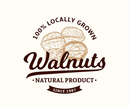 Vector walnut logo design. Whole walnut and kernels