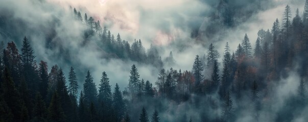 Misty Enchantment: Textured Forest Tableaus and Mountain Vistas in Ethereal Fog