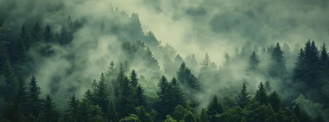 Poster Im Rahmen Mystical Forest Fog: Atmospheric Landscape Paintings with Textured, Organic Scenery and Mountainous Vistas © Vasilya