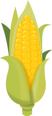 corn vector