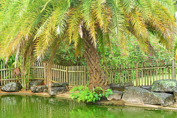 picturesque area of la Pointe aux canonniers in Mauritius