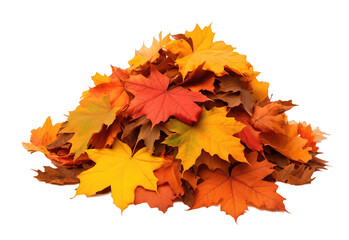 Pile of autumn leaves isolated on transparent background. PNG file, cut out