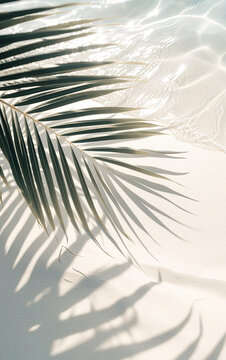 A Picture-Perfect Scene of Beach Sand, Palm Shadows, and Text Space