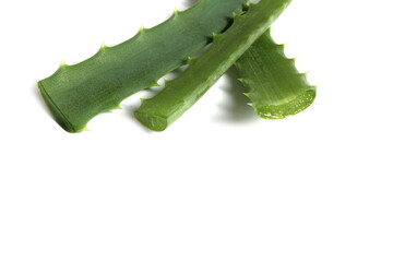 Several pieces of aloe leaves lie on a white background.