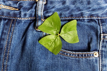 Blue jeans lie on a flat surface with clover leaves.
