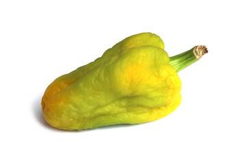 Wrinkled ripening and at the same time drying sweet pepper lies on a white background.