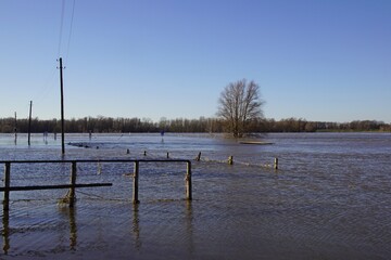 Hochwasser am Rhein