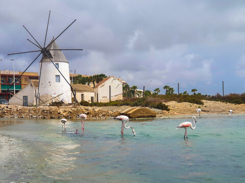 Murcia - San Pedro del Pinatar: sus salinas, playa y espacio natural.