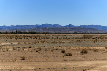 The view from the oasis of Tinejdad in the southeast of Morocco.