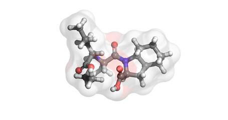 
Perindopril, prodrug for hypertension and congestive heart failure