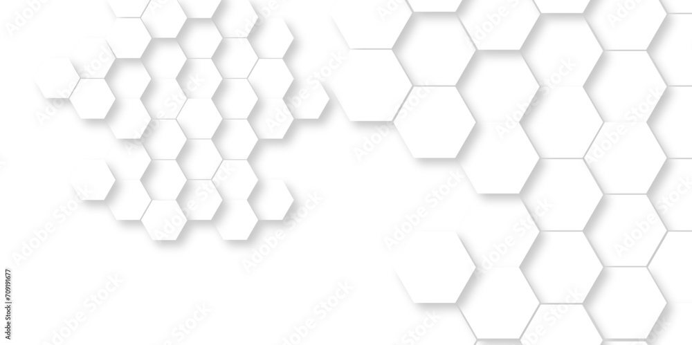 Wall mural background pattern with hexagon white and gray technology line paper background. hexagonal 3d vector